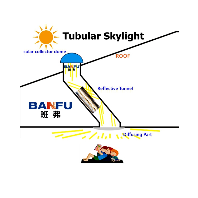 Bringing Sunlight to Migrant Worker Living Spaces: How Natural Light Transforms Sleep, Mood, and Overall Well-Being